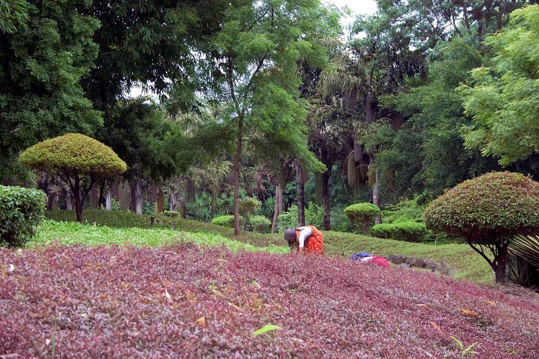 Osho Teerth Park